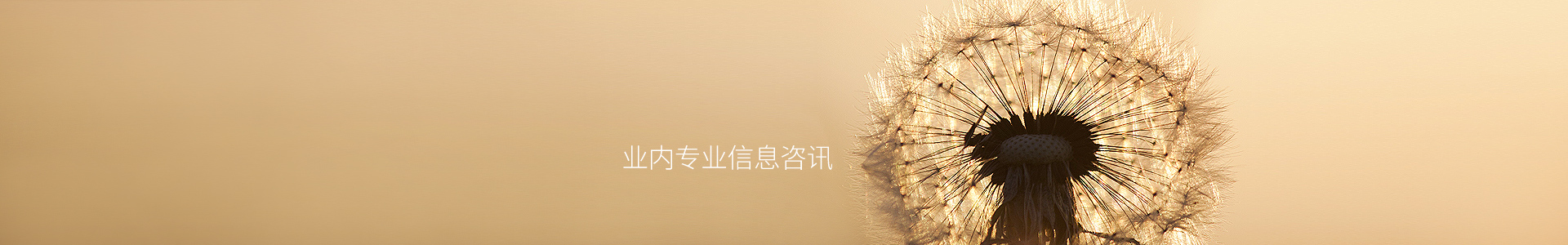 imtoken官网