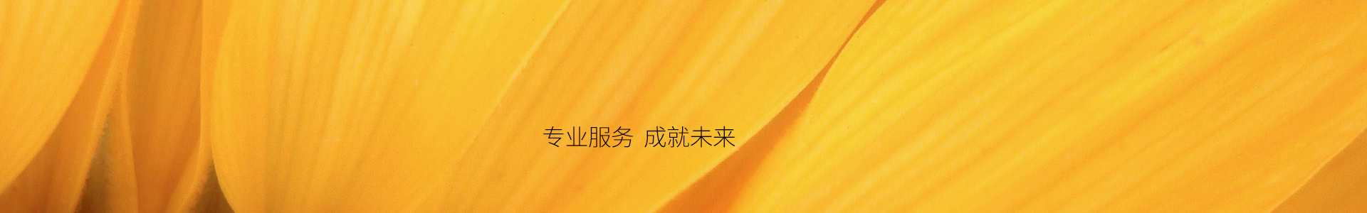 imtoken安卓下载